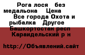 Рога лося , без медальона. › Цена ­ 15 000 - Все города Охота и рыбалка » Другое   . Башкортостан респ.,Караидельский р-н